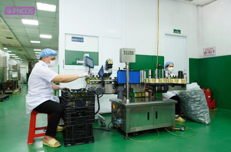 Quy trình đóng gói dầu gội bưởi tại nhà máy Phương Nghi