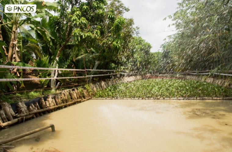 Hồ nước tại nhà máy Phương Nghi