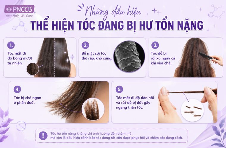 Một số dấu hiệu thể hiện tóc đang bị hư tổn nặng