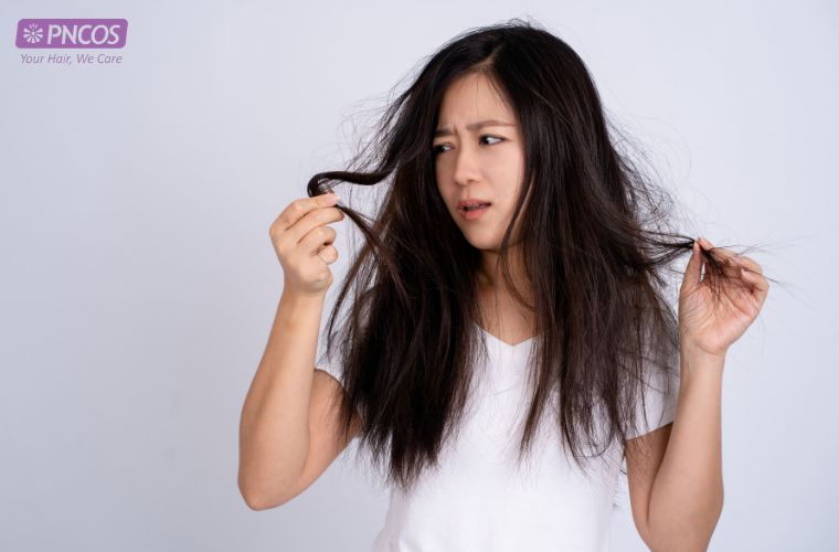 Các tác nhân từ môi trường khiến tóc xơ rối và mất đi độ ẩm vốn có