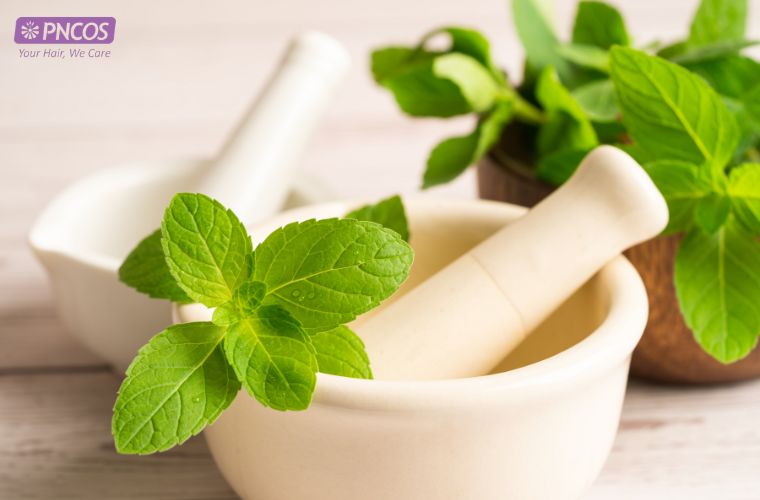Thành phần bạc hà trong dầu gội đóng vai trò gì?