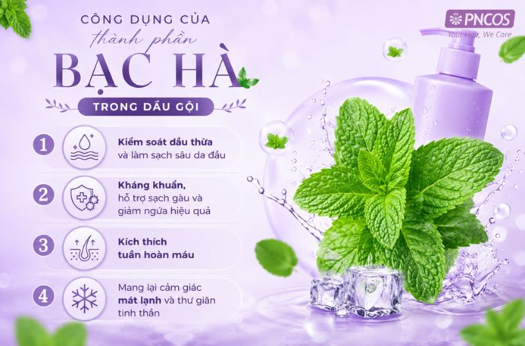 Bạc hà mang lợi nhiều lợi ích cho mái tóc