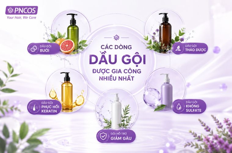 Những dòng dầu gội được gia công nhiều nhất