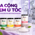 Bài viết gần đây