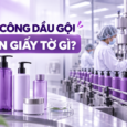 Bài viết gần đây