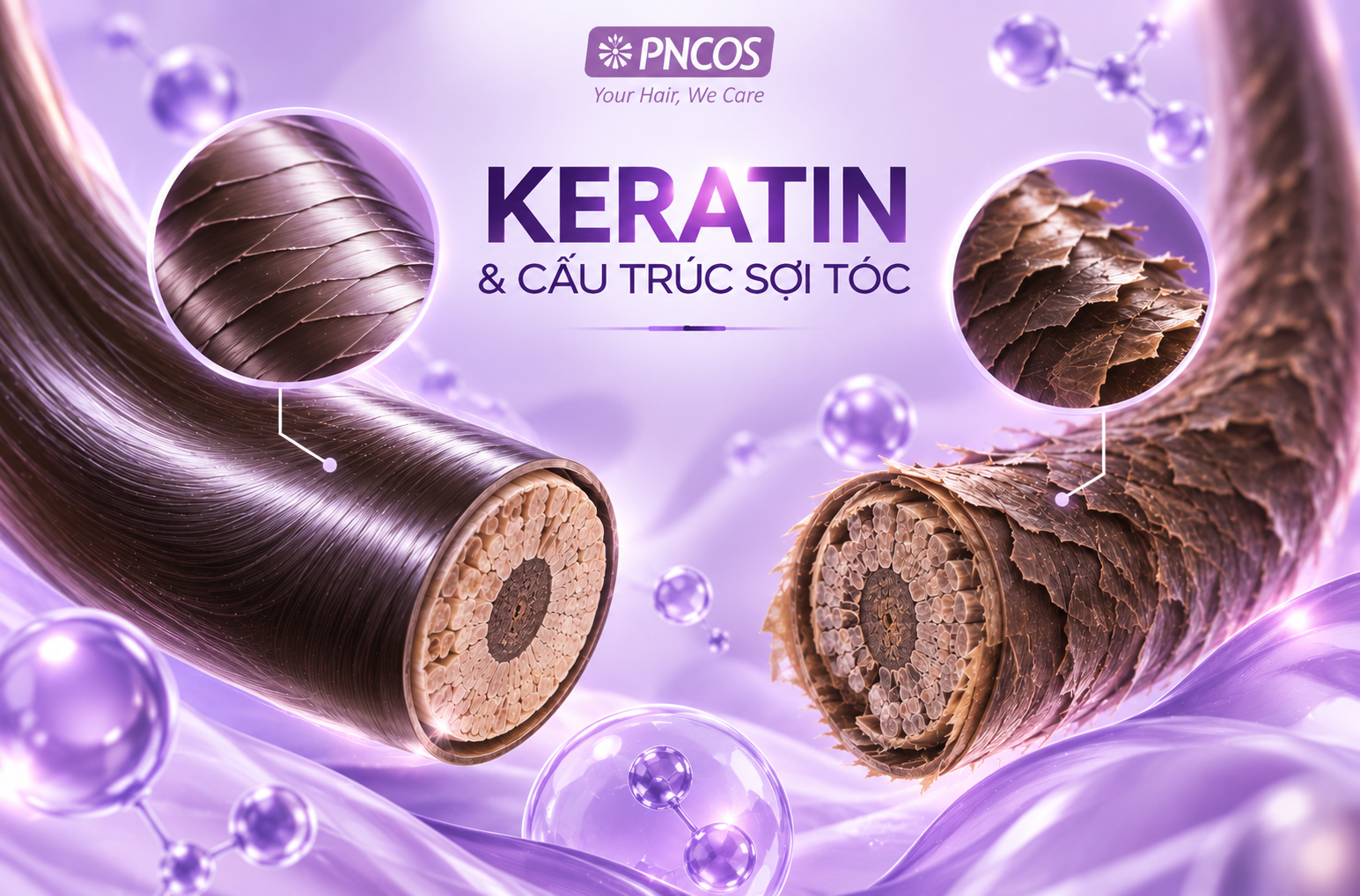 Keratin là protein cấu trúc quan trọng có trong sợi tóc.